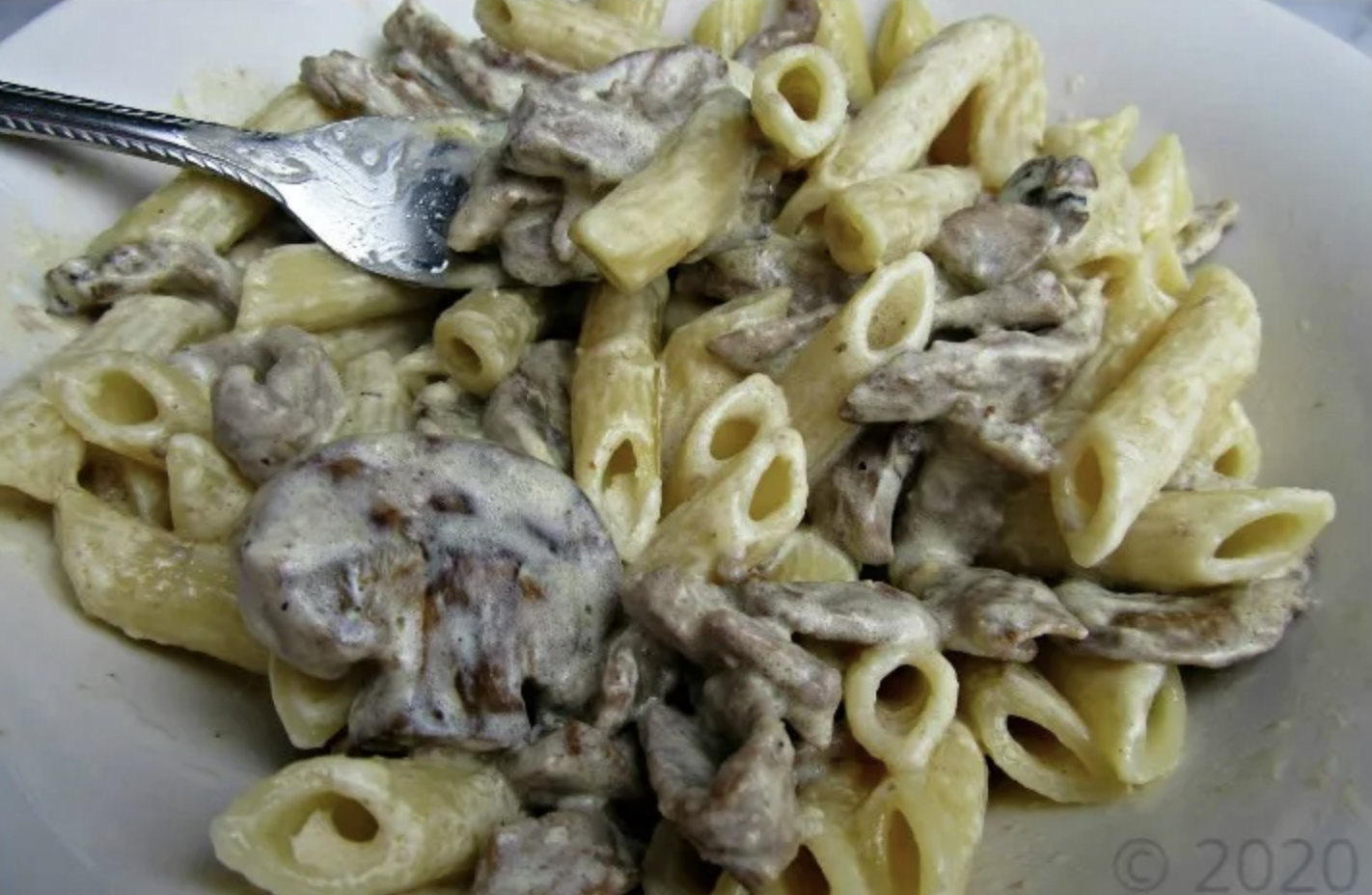 Meal Photo