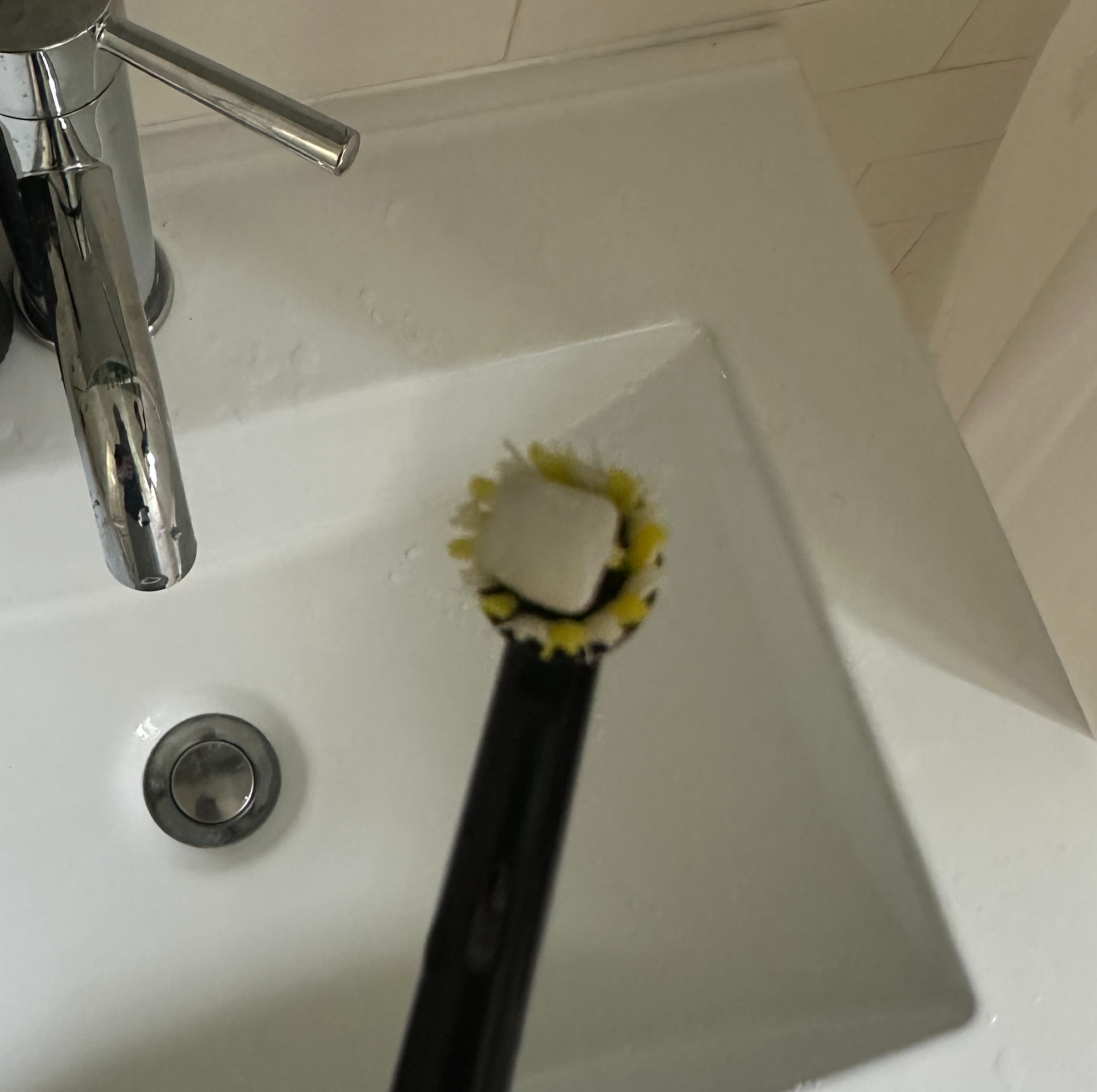 Toothbrush Photo